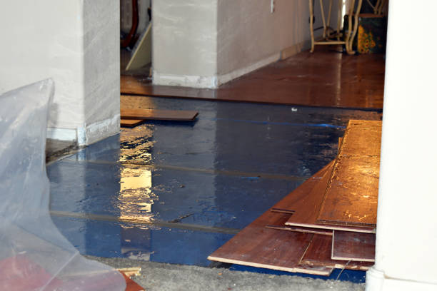 Professional Emergency Water Damage Restoration technician working in Lane, KS
